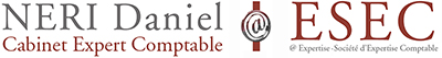 Expert comptable à Aix en Provence et Marseille -Daniel Neri Logo